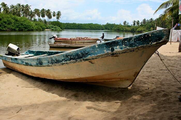 *Coyuca Lagoon Tour and Baby Turtle Release - Key Points