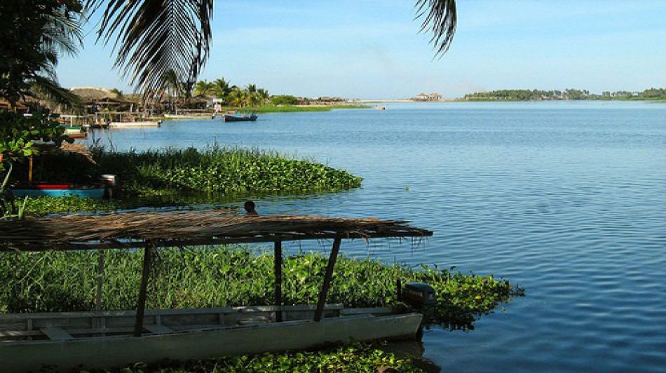 *Coyuca Lagoon Tour and Baby Turtle Release - Explore Mexican Lifestyle