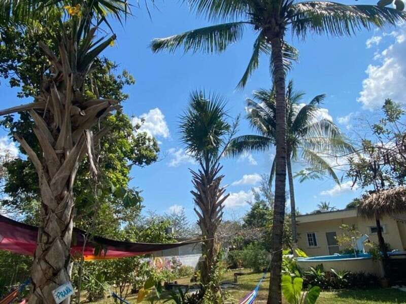 Cozumel: 10 Day 200-Hour Yoga Teacher Training - Accommodation and Meals