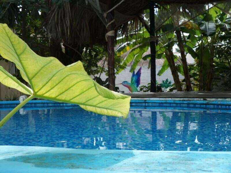 Cozumel: 10 Day 200-Hour Yoga Teacher Training - Costs and Value