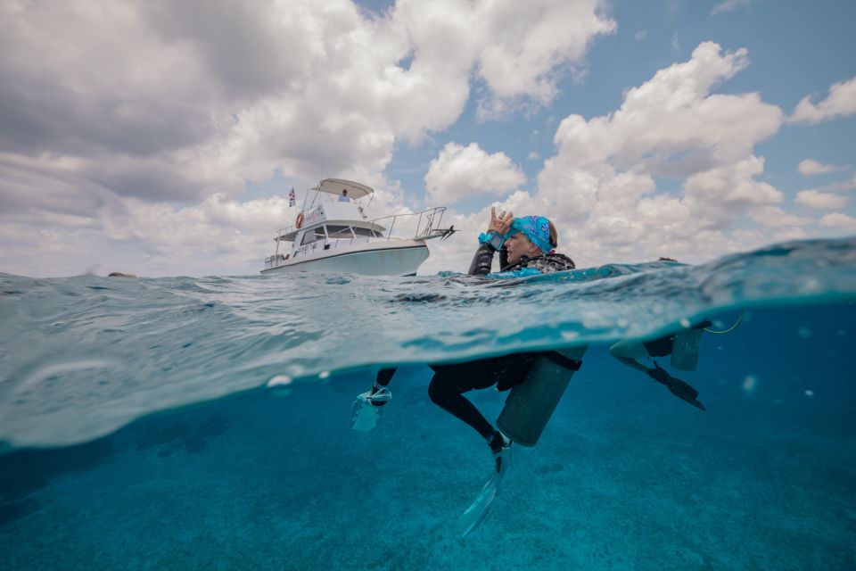 Cozumel: 2 Tanks Certified Scuba Diving - Key Points