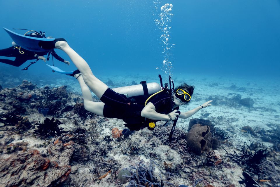Cozumel: 2 Tanks Certified Scuba Diving - Boat Tour and 2 Tanks
