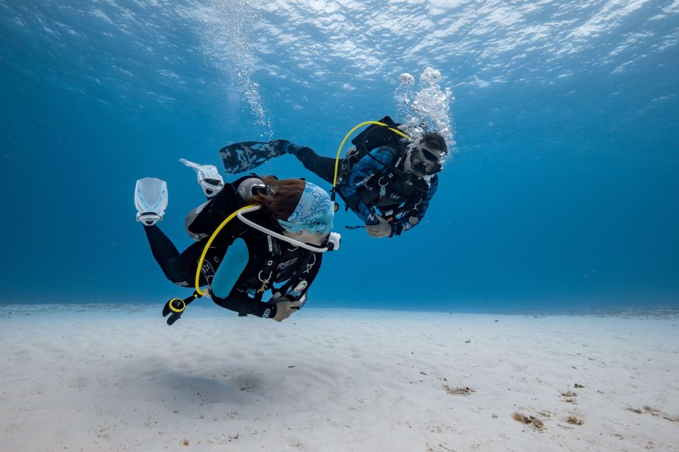 Cozumel: 2 Tanks Certified Scuba Diving - Reservation and Payment Options