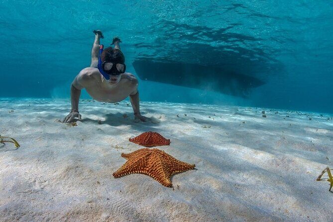 Cozumel 3 Reefs Snorkel - Exploring the Snorkeling Itinerary