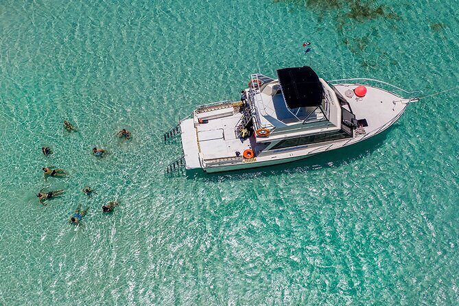 Cozumel 3 Reefs Snorkel - Final Thoughts