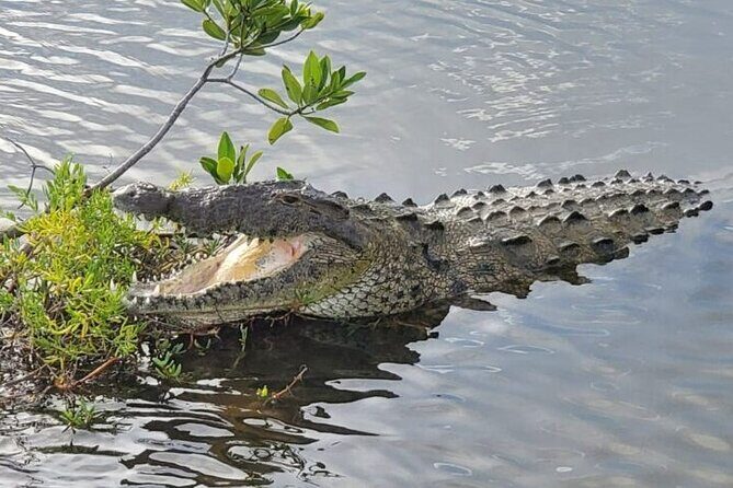 Cozumel 4x4 Adventure Punta Sur and Virgin Beach All Inclusive - Who Should Consider This Tour?