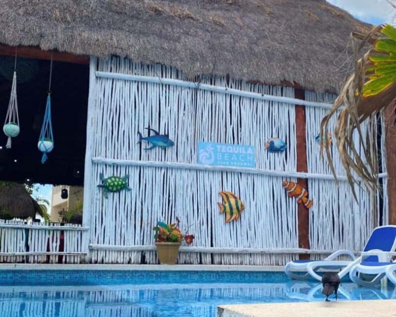 Cozumel: All-Inclusive Beach Club Day Pass with Open Bar - Final Thoughts  