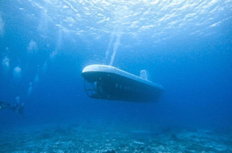 Cozumel: Atlantis Submarine Adventure - Exploring Cozumel’s Atlantis Submarine Adventure