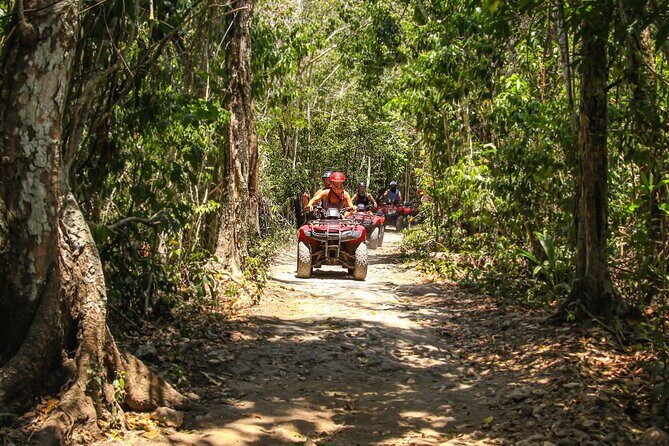 Cozumel ATV Tour & Beach Break - Who Will Love This Tour?