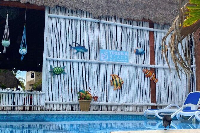 Cozumel Beach Club with Unlimited Food and Drinks - FAQ