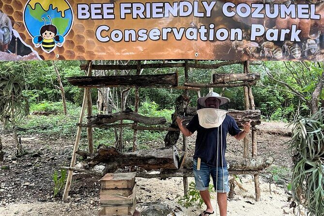 Cozumel: Bee Farm + Honey & Chocolate Tasting + Sightseeing - A Closer Look at the Cozumel: Bee Farm + Honey & Chocolate Tour