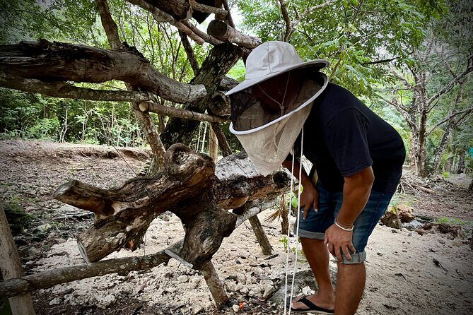Cozumel: Bee Farm + Honey & Chocolate Tasting + Sightseeing - What to Expect from the Itinerary