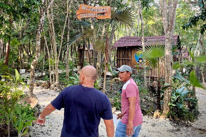 Cozumel: Bee Farm + Honey & Chocolate Tasting + Sightseeing - The Sum Up: Why Choose This Tour?