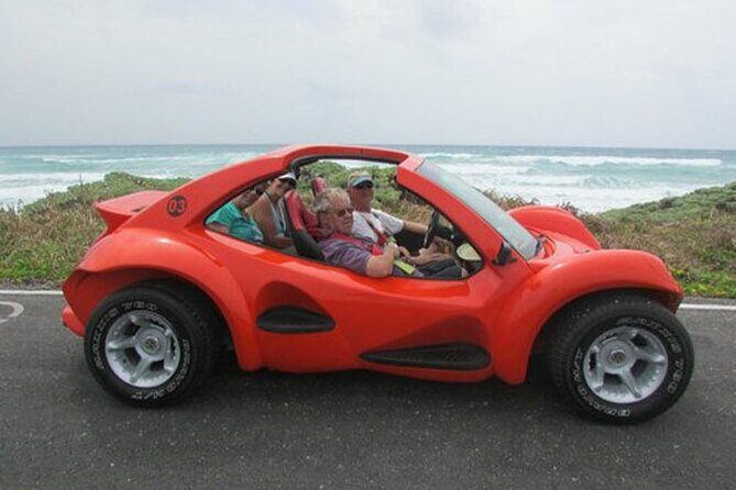 Cozumel Buggy Island Tour, Otoch Mayan Experience & Clear Boat - Transport and Group Size