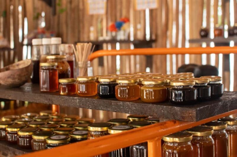 Cozumel Buggy Tour, Otoch Mayan Experience & Clear Boat - Authentic Experiences That Make a Difference