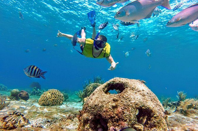 Cozumel by transparent boat and snorkeling in the sky with lunch. - Authentic Experiences and Highlights
