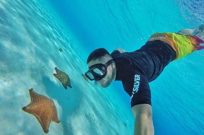 Cozumel by transparent boat and snorkeling in the sky with lunch. - Final Thoughts