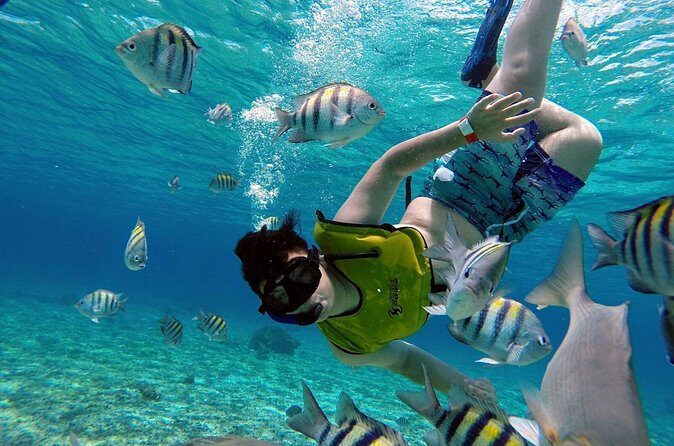Cozumel by transparent boat and snorkeling in the sky with lunch. - FAQs