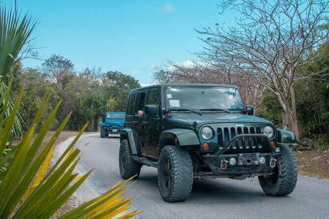 Cozumel Caravan Tour San Gervasio Ruins Beach Club and Mayan Park - What Reviewers Say