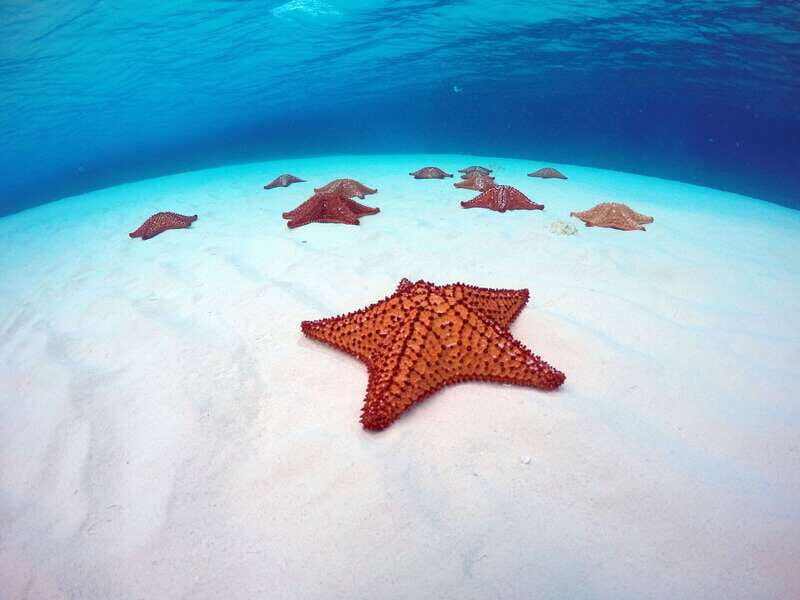 Cozumel: Catamaran, El Cielo Bay & Palancar Reef with Lunch - Breaking Down the Itinerary