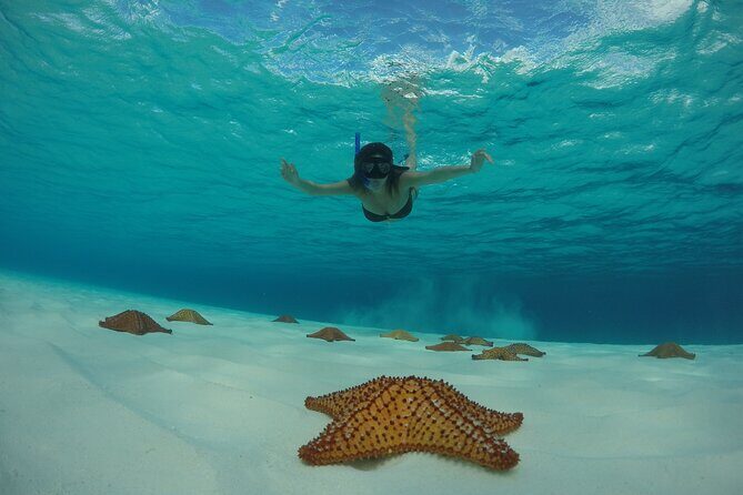 Cozumel Catamaran Snorkel Tour: El Cielo & Palancar with lunch - FAQ