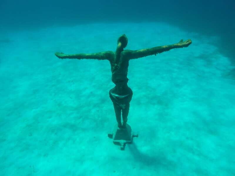 Cozumel: Chankanaab Park Admission+ Snorkel+ Welcome drink - The Sum Up