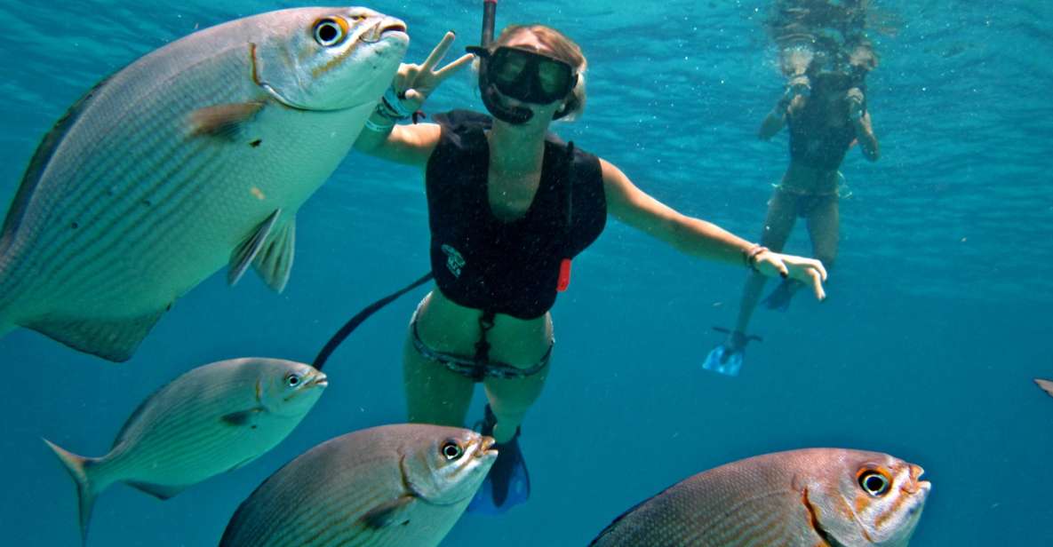 Cozumel: Chankanab Park Day Pass and Snorkeling - Exploring the Botanical Gardens and Replicas