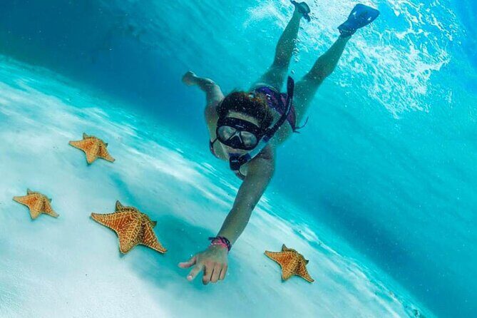 Cozumel Cielo Snorkel Adventure from Cancun and Rivera Maya - Exploring the Cozumel Cielo Snorkel Adventure from Cancun and Riviera Maya