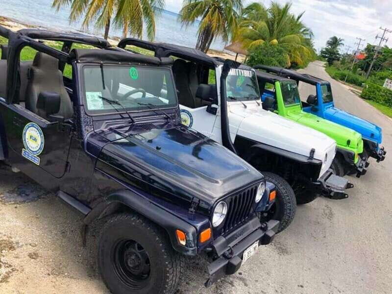 Cozumel: Classic Jeep or Buggy Island Tour to Punta Sur - A Practical Look at the Tour Experience
