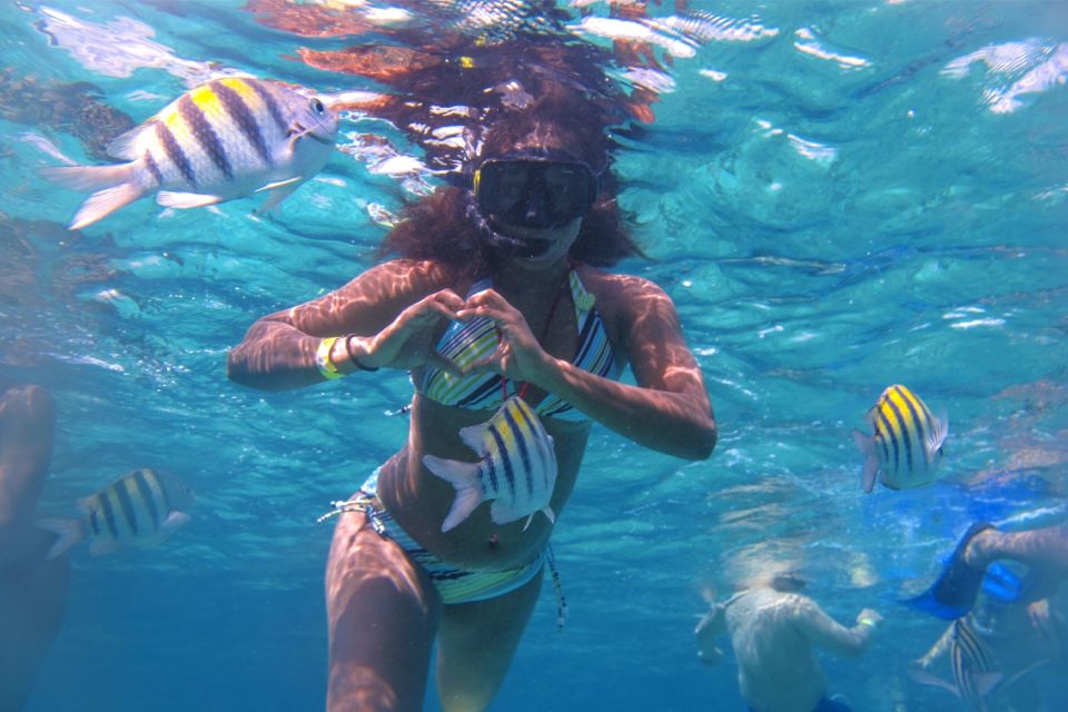 Cozumel: Clear Boat and Electric Scooter Ride - Frequently Asked Questions