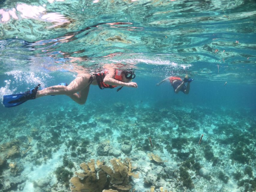 Cozumel: Clear Boat & Snorkel Tour - Itinerary