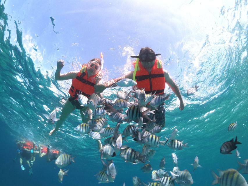 Cozumel: Clear Boat & Snorkel Tour - Sightseeing
