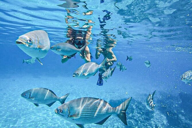 Cozumel Clear Boat Tour! Round Transportation From Cancun & Playa Del Carmen - Why Choose This Cozumel Tour?