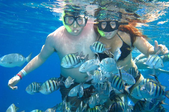 Cozumel Coral Reef Snorkeling by Glass Bottom Boat With Guide - Health Restrictions and Recommendations