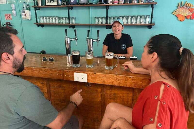Cozumel: Craft Beer Tasting Experience with Brewery Tour - Key Points