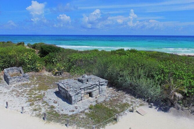 Cozumel: Day in Punta Sur Eco Park and Del Cielo Beach with Snorkeling - Snorkeling and Marine Life