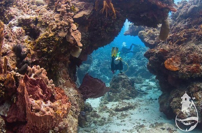 Cozumel: Discover Scuba Diving - Practical Details and Tips