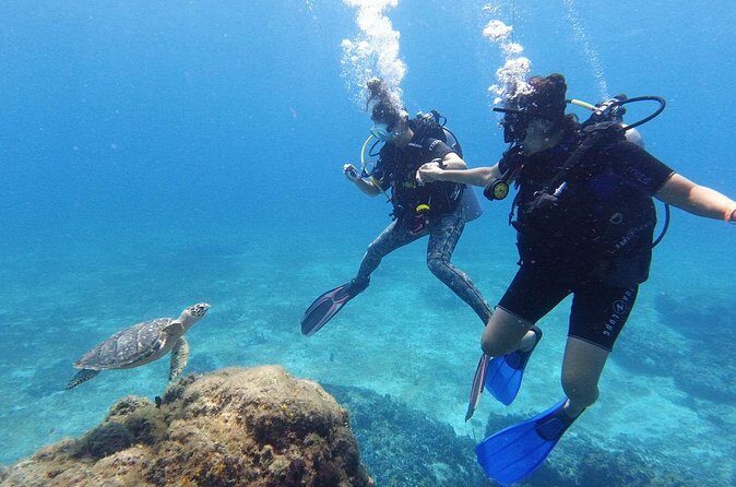 Cozumel: Discover Scuba Diving - FAQ