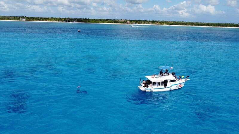 Cozumel: Discover Scuba Diving - Key Points