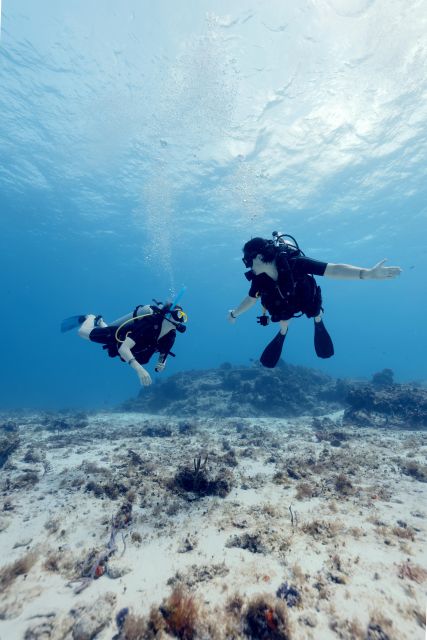 Cozumel: Discover Scuba Diving - Participant Requirements and Restrictions
