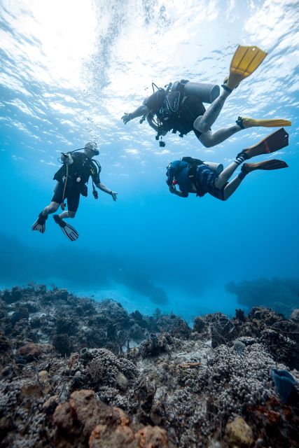 Cozumel: Discover Scuba Diving - Advantages of Small Group Classes
