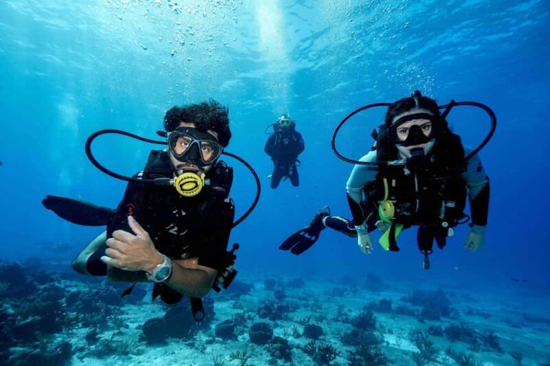 Cozumel: Discovery Scuba Diving. No experience required. - What to Expect from the Cozumel Discovery Scuba Tour