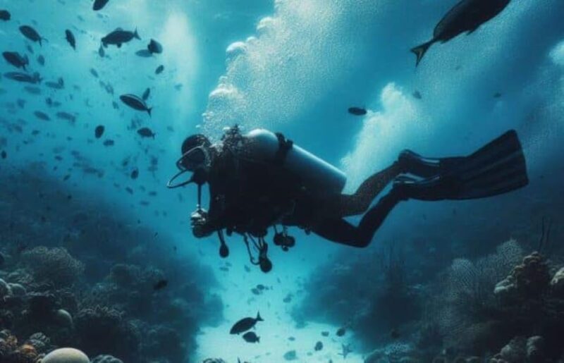 Cozumel: Discovery Scuba Diving. No experience required. - Practical Tips for Participants