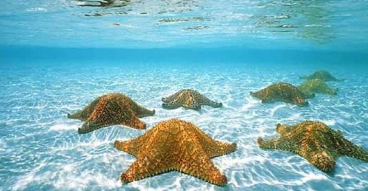 Cozumel: Dive in the Worlds Second Largest Coral Reef - Frequently Asked Questions