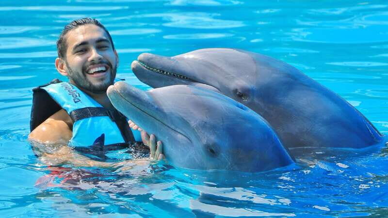 Cozumel: Dolphin Royal Swim and Manatee Interaction - Key Points