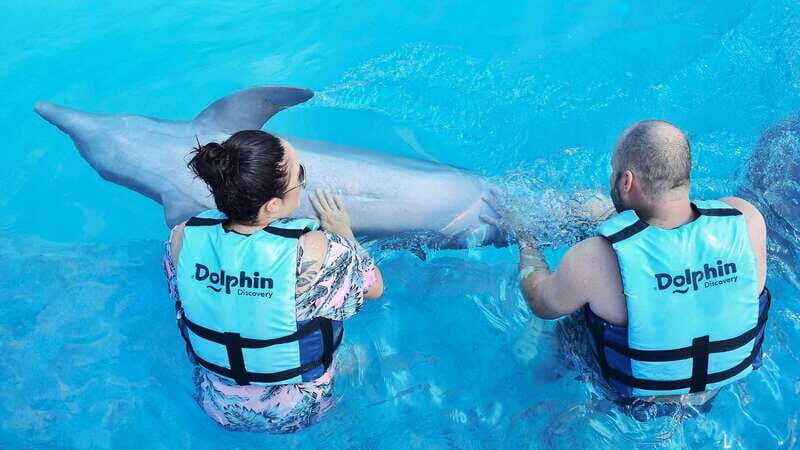 Cozumel: Dolphin Royal Swim and Manatee Interaction - A Closer Look at the Experience