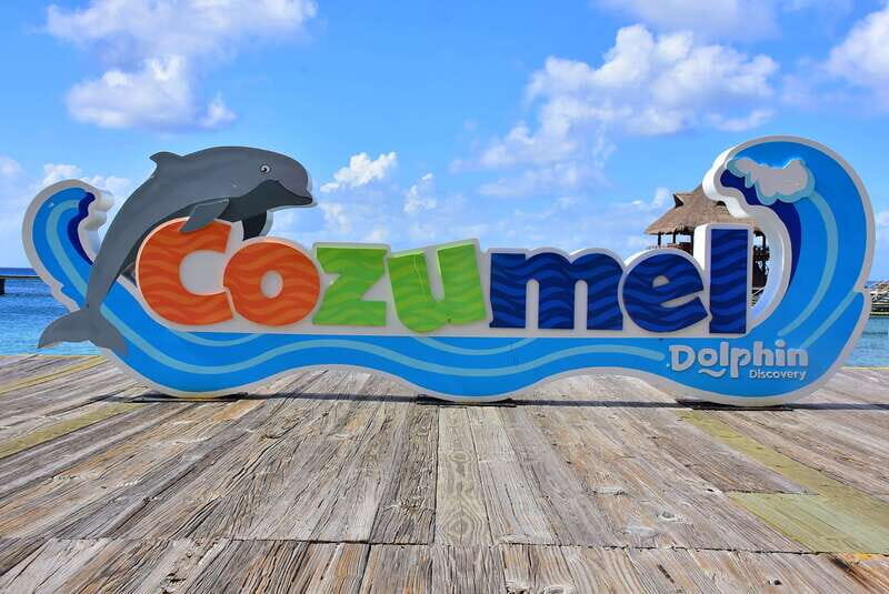 Cozumel: Dolphin Royal Swim and Manatee Interaction - The Sum Up