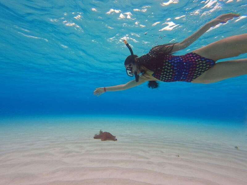 Cozumel, El Cielo: 4-Hour Private Tour - Authenticity and Value