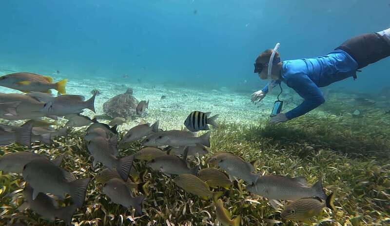 Cozumel, El Cielo: 4-Hour Private Tour - Who Should Consider This Tour?