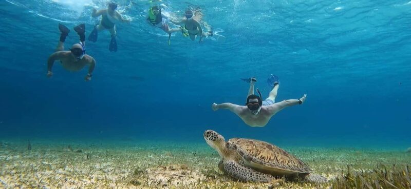 Cozumel, El Cielo: 4-Hour Shared Snorkeling Tour - What Travelers Are Saying